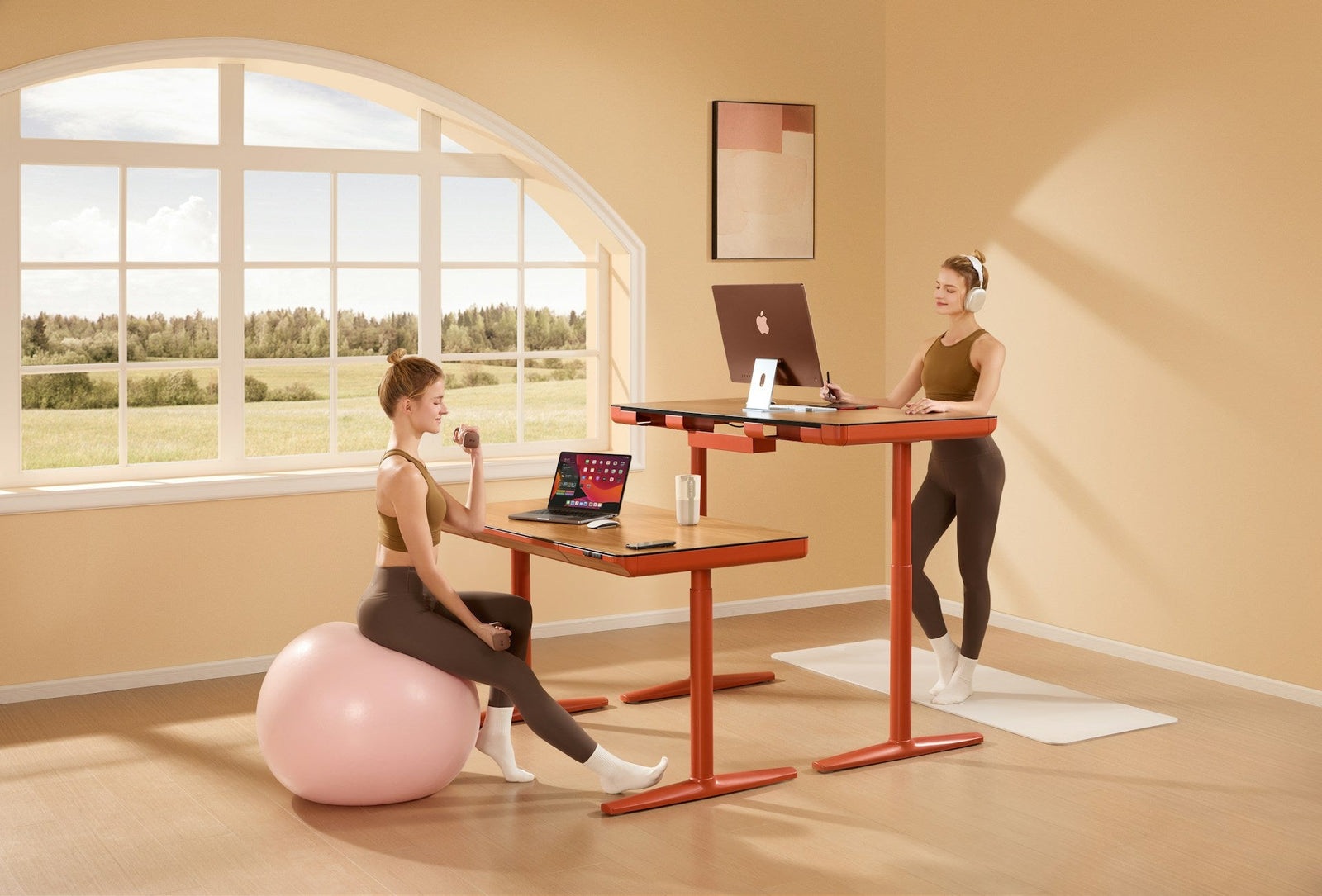 Which Is Better: Standing Desk vs Exercise Ball for Office Workers?