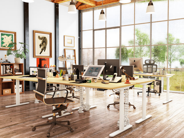 Maidesite EL2 Pro Art - Electric Stand Up Desk Frame