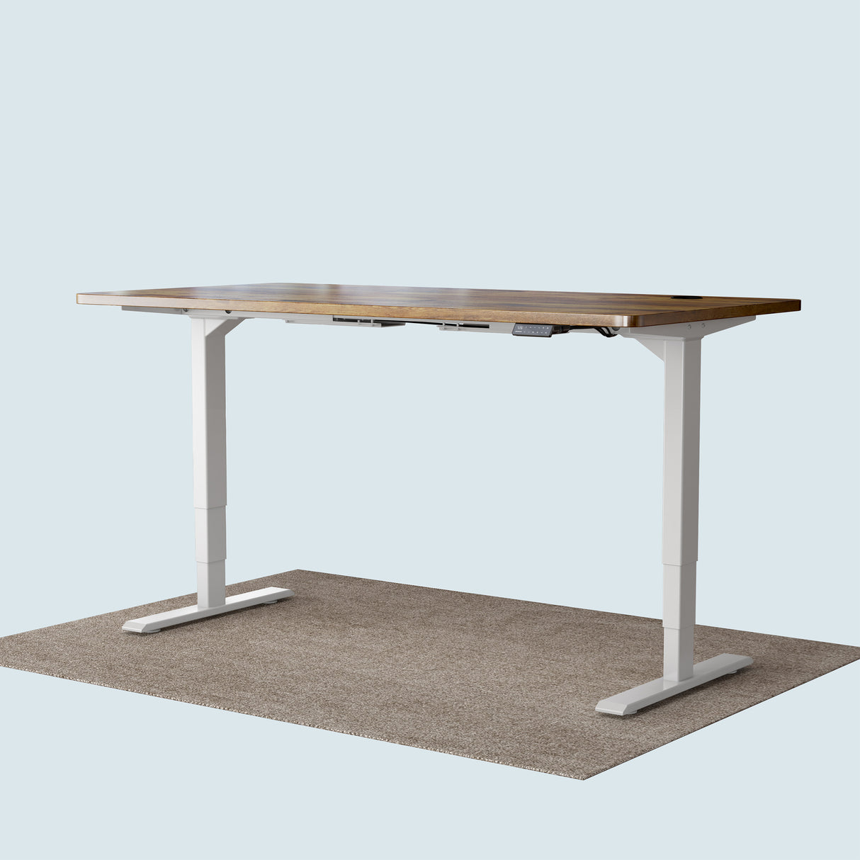 Maidesite T2 Pro Plus - Electric Standing Desk 120 140 160 180 cm