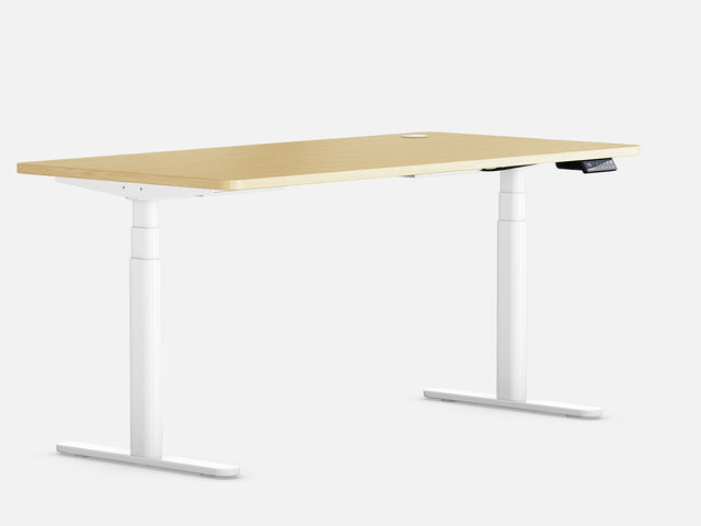 Maidesite TH2 Plus Art/EL2 Plus Art - Electric Standing Desk Height Adjustable Table Frame