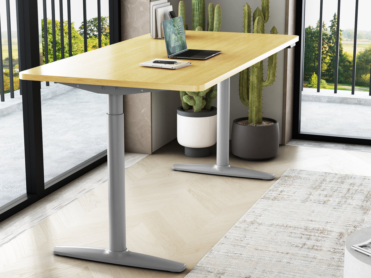 Maidesite TO1 Pro - Electric Stand Up Desk Frame