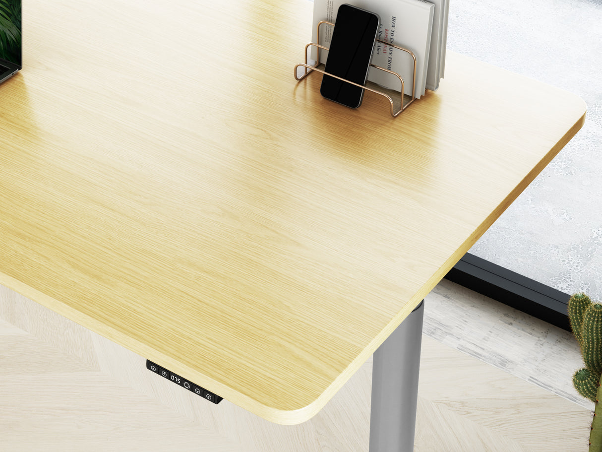 Maidesite TO1 Pro - Electric Stand Up Desk Frame