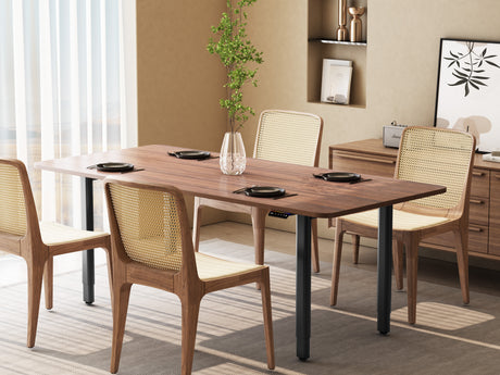 Maidesite T4 Pro Plus - 4 Leg Electric Stand Up Desk Frame