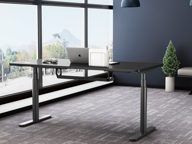 Maidesite TH2 Plus Art/EL2 Plus Art - Electric Standing Desk Height Adjustable Table Frame