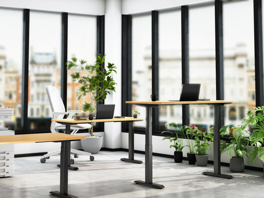 Electric Standing Desks UK: Complete Guide & Buying Tips 2026