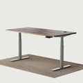 Maidesite Electric Standing Desk TH2 Pro Plus 160 140 120 cm