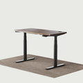 Maidesite Electric Standing Desk TH2 Pro Plus 160 140 120 cm
