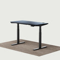 Maidesite Electric Standing Desk TH2 Pro Plus 160 140 120 cm