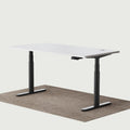 Maidesite Electric Standing Desk TH2 Pro Plus 160 140 120 cm