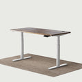 Maidesite Electric Standing Desk TH2 Pro Plus 160 140 120 cm