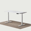 Maidesite Electric Standing Desk TH2 Pro Plus 160 140 120 cm