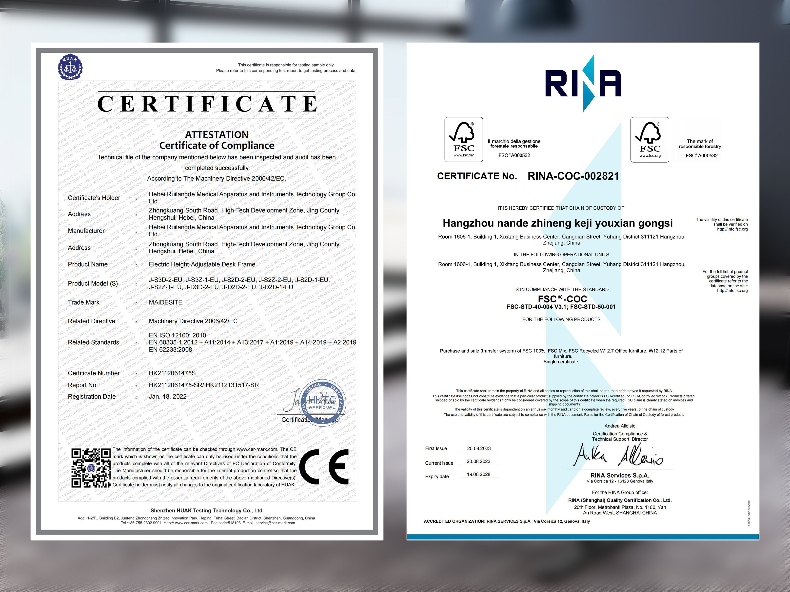 Maidesite TH2 Plus Art/EL2 Plus Art - Electric Standing Desk Height Adjustable Table Frame