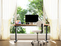 Maidesite T2 Electric Standing Desk