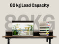 Maidesite ArborLift Height-Adjustable Electric Desk, 120 140cm with USB-C Connection