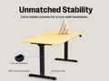 Maidesite T2 Electric Standing Desk