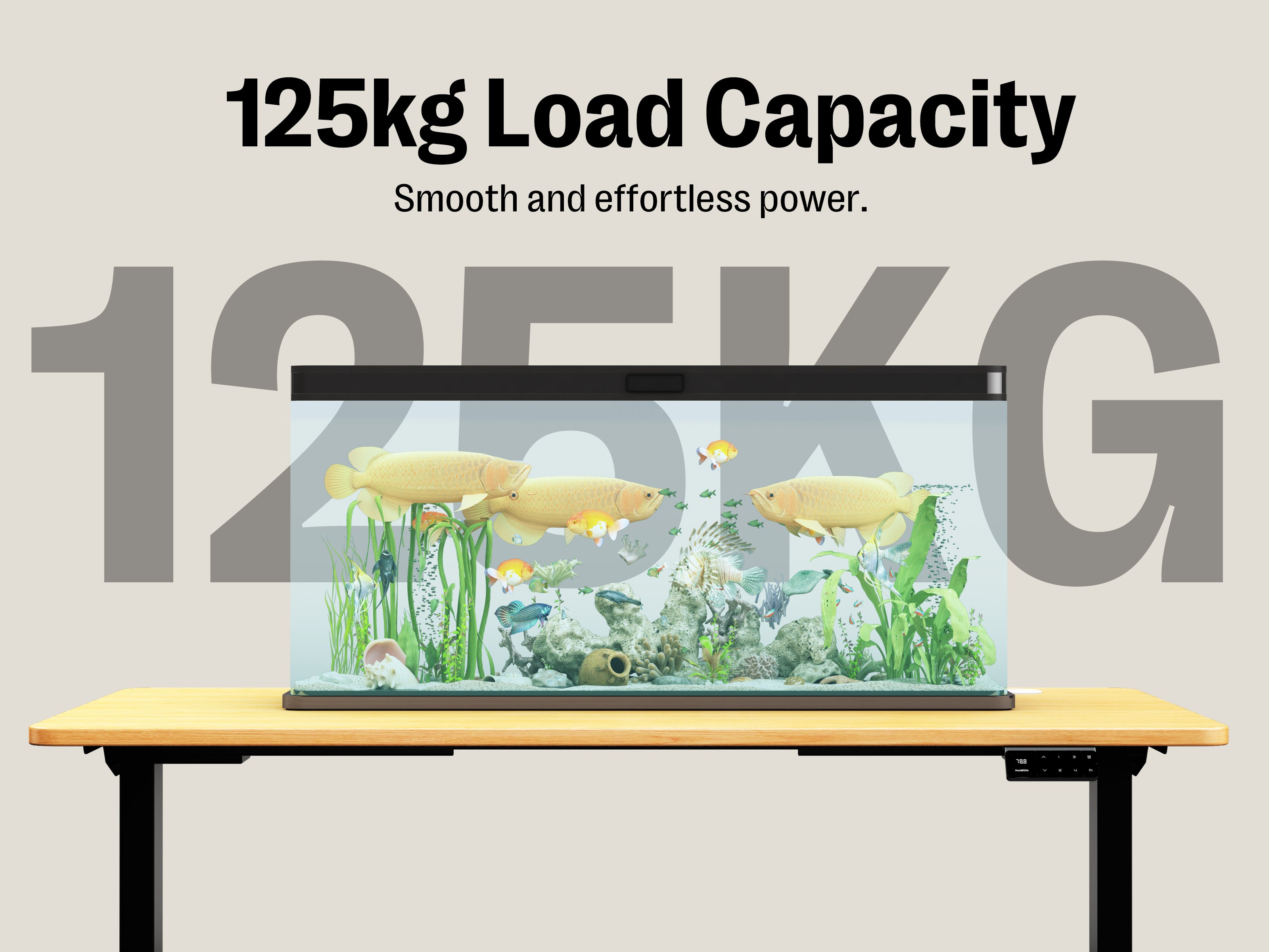 Maidesite T2 Electric Standing Desk