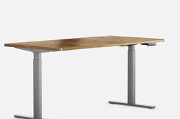 Maidesite EL2 Pro Art - Electric Stand Up Desk Frame