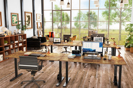 Maidesite EL2 Pro Art - Electric Stand Up Desk Frame