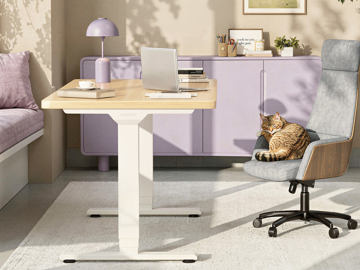 Maidesite T2 Plus Electric Standing Desk