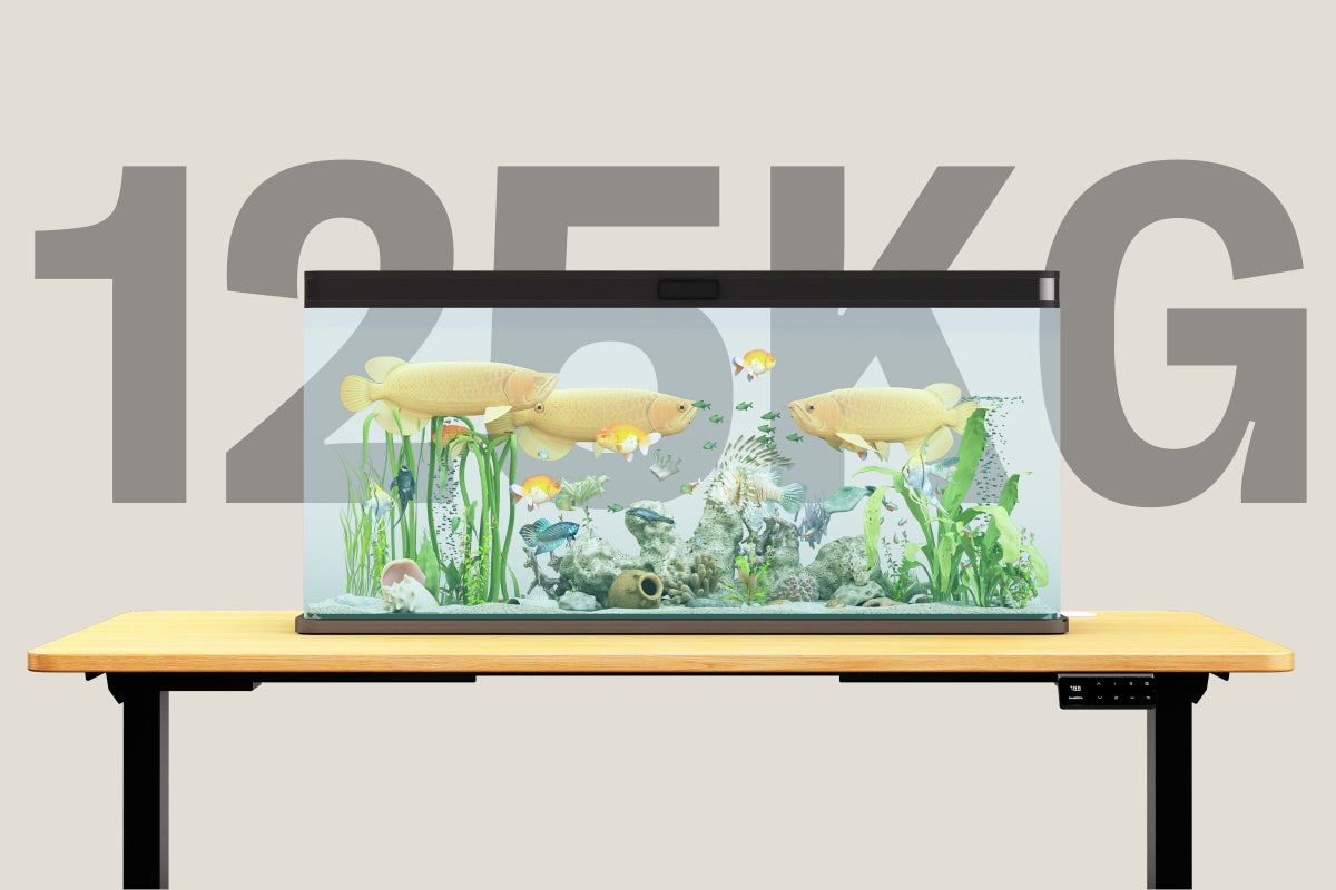 <p>Heavy-Duty 125kg Load Capacity</p>