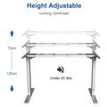 Maidesite T2 Pro Electric Stand Up Desk 120 140 160 cm