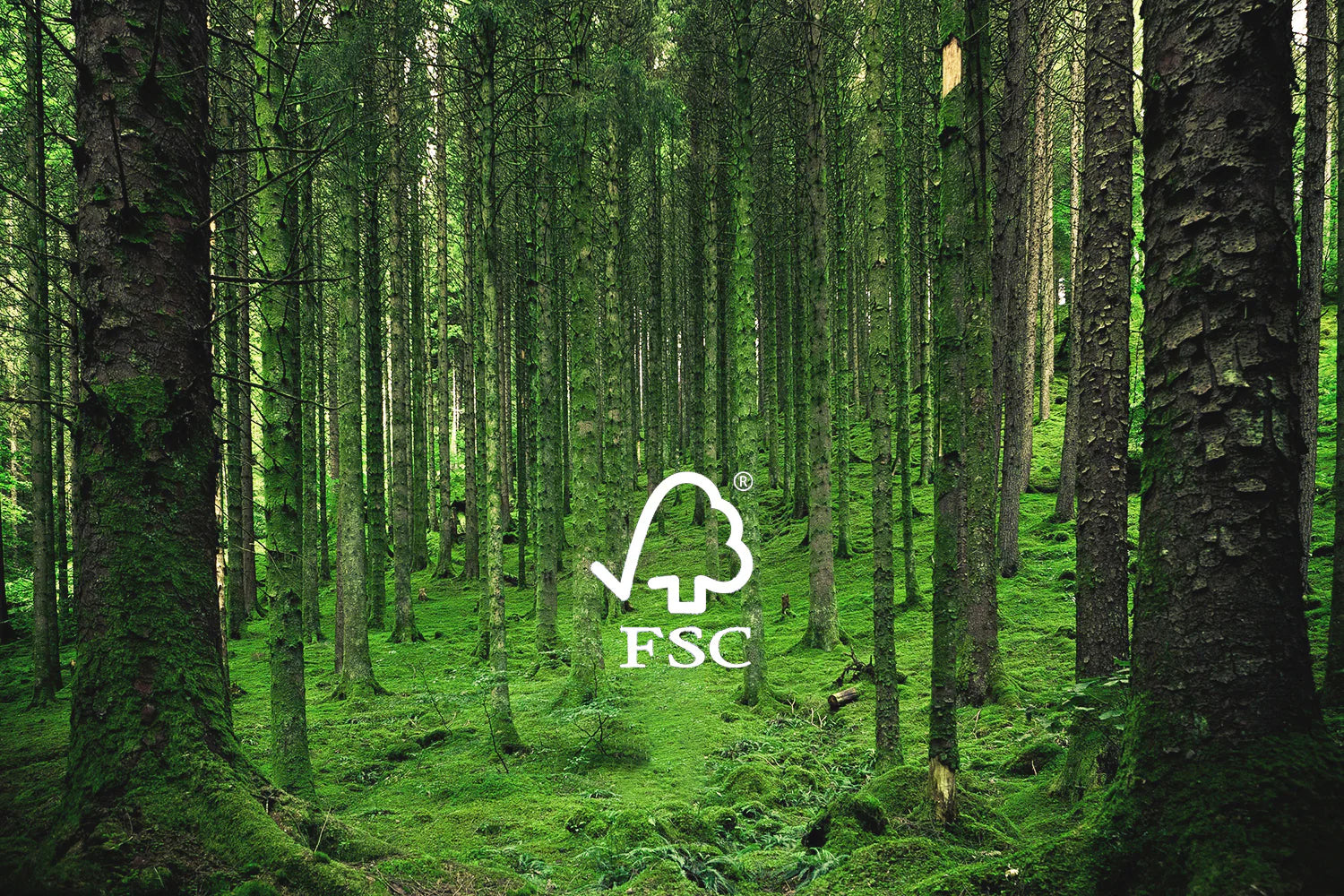 <p>FSC-certified table top</p>