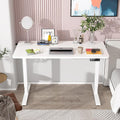 Maidesite 140X70 cm Electric Standing Desk S2 Pro Computer Desk