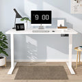 Maidesite 140X70 cm Electric Standing Desk S2 Pro Computer Desk